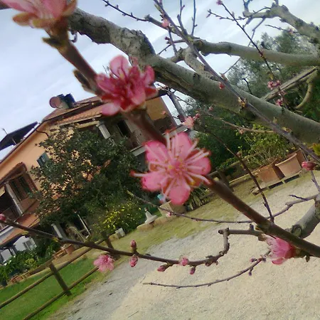 Çiftlik konaklama Agriturismo Montefabbrello *