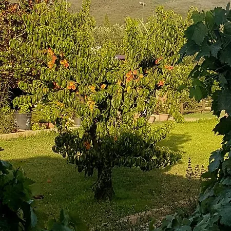 Agriturismo Montefabbrello Portoferraio